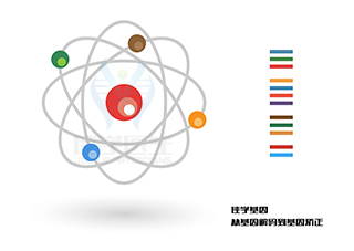 【佳學(xué)基因檢測(cè)】斑駁樣魚鱗病基因解碼、基因檢測(cè)有什么用？