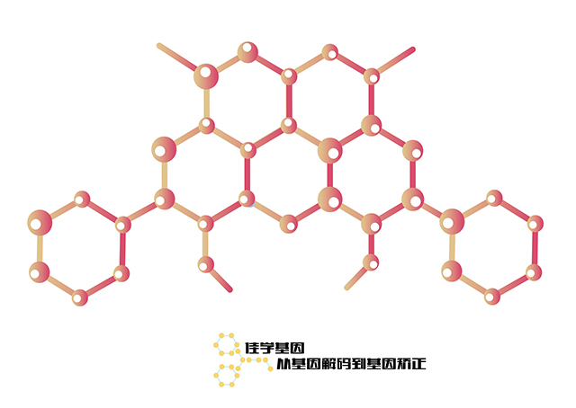 【佳學(xué)基因檢測】胃腫瘤基因解碼、<a href=http://npz842.cn/tk/jiema/cexujishu/2021/31933.html>基因檢測</a>的樣品有區(qū)別嗎？