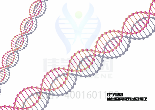 【佳學(xué)基因檢測(cè)】需要多長(zhǎng)時(shí)間可以拿振動(dòng)性蕁麻疹基因解碼、<a  data-cke-saved-href=http://npz842.cn/tk/jiema/cexujishu/2021/31933.html href=http://npz842.cn/tk/jiema/cexujishu/2021/31933.html>基因檢測(cè)</a>報(bào)告？