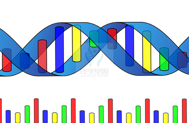 【佳學(xué)基因檢測】CHILD綜合征基因解碼、<a  data-cke-saved-href=http://npz842.cn/tk/jiema/cexujishu/2021/31933.html href=http://npz842.cn/tk/jiema/cexujishu/2021/31933.html>基因檢測</a>有什么用？