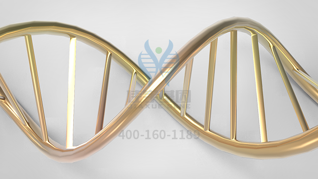 【佳學(xué)基因檢測(cè)】視網(wǎng)膜色素變性9型基因解碼、基因檢測(cè)的報(bào)告看得懂嗎？