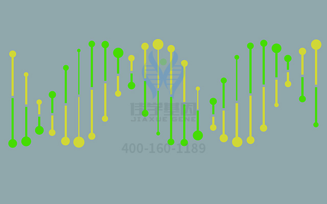 【佳學(xué)基因檢測】如何區(qū)分腎上腺功能不全先天性46XY（部分或有效）性逆轉(zhuǎn)基因解碼、<a href=http://npz842.cn/tk/jiema/cexujishu/2021/31933.html>基因檢測</a>？