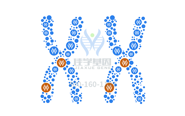 【佳學(xué)基因檢測】如何做<font color='red'><font color='red'>乳糖</font><font color='red'>不耐</font>癥</font>基因解碼、基因檢測？