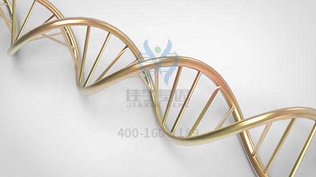 【佳學基因檢測】做孔源性視網(wǎng)膜脫離常染色體顯性基因解碼、<a href=http://npz842.cn/tk/jiema/cexujishu/2021/31933.html>基因檢測</a>的費用是多少？