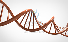 【佳學(xué)基因檢測(cè)】怎么做常染色體隱性廣泛性甲狀腺激素抵抗基因解碼、<a href=http://npz842.cn/tk/jiema/cexujishu/2021/31933.html>基因檢測(cè)</a>?