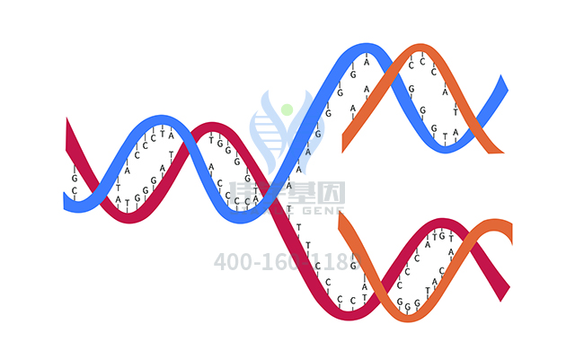 【佳學基因檢測】PCR突變檢測ATP5F1E基因有突變，如何解讀？