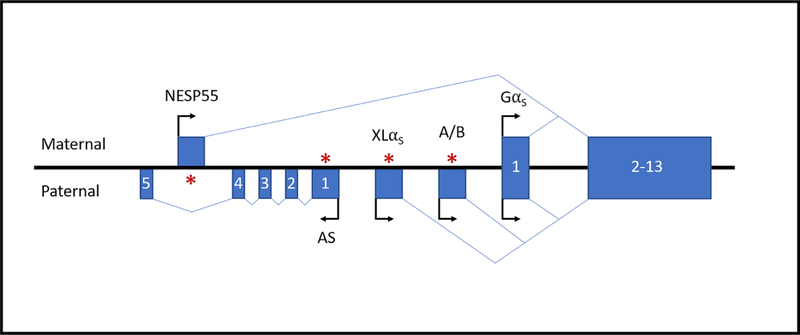 An external file that holds a picture, illustration, etc.
Object name is nihms-1528157-f0001.jpg